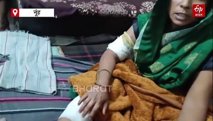 नूंह में आवारा पशुओं का आतंक, तीन दिन में तीन महिलाओं पर हमला, CCTV आया सामने