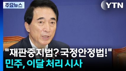 "재판중지법? 국정안정법!"...민주, 이달 내 추진 공식화 / YTN