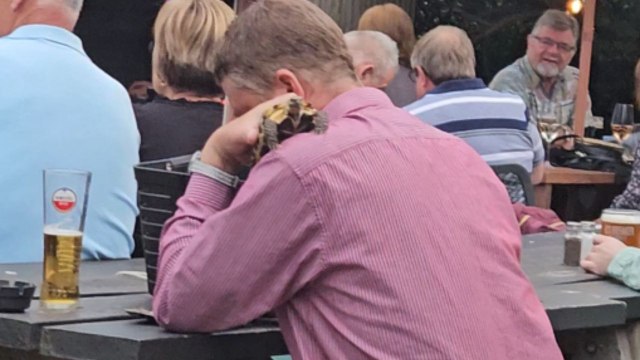 Guy sits on a table and cuddles his pet turtle during a beer festival