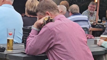 Guy sits on a table and cuddles his pet turtle during a beer festival