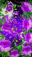 Amazing naat or enjoyment