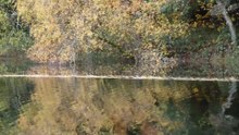 Reflets d'automne