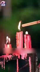 Bowing To His Silent Rose - Full HD Movie uncut