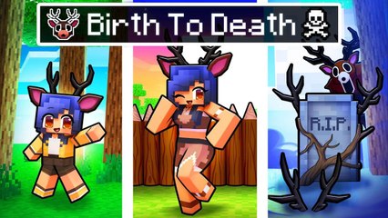 BIRTH to DEATH of the FOREST DEER in Minecraft! Part 2