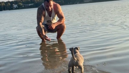 Puppy earns a souvenir from dad after its first swim in the lake