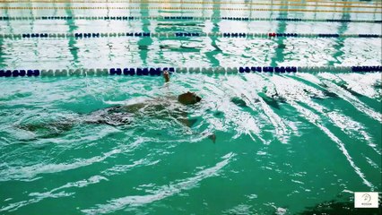 Turn Off Stress, Turn On Calm The Psychology of Water Movement