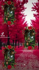 Amazing naat or enjoyment