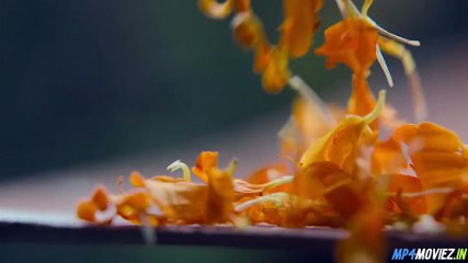 Tara Vs Bilal – Full Movie Hindi