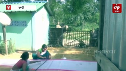 হাতী-মানুহৰ সংঘাত নহয়, সহাৱস্থানে আপোনাৰো দৃষ্টি আকৰ্ষণ কৰিব !