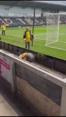 La mascota del St Albans tuvo que ser expulsada del campo por síntomas de embriaguez