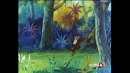 Dessin animé : Le Tour du Monde en 80 jours (Japon,1984) Episode 8 La jungle (Épisode Complet)