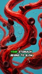 science in action.what happens while smoking cigarettes right after eating inside of your body