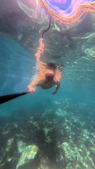 The Atlantic Ocean from the inside – simply magical 🌍 💖 #underwater #freediver #freediving #ocean
