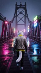 The Rise of the White Cat 🐾 | Emotional Cat vs Dog Story | From Weak to Powerful Hero 🐱🔥