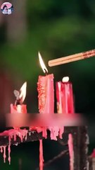 Bowing To His Silent Rose Chinese - Full HD Movie