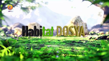 JIN TV |HABİTAT-Kadın Ormanı Projesi'nde 500 meşe fidanı dikildi