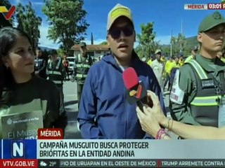 Servidores públicos se despliegan con la Campaña Musguito en los mercados principales de Mérida