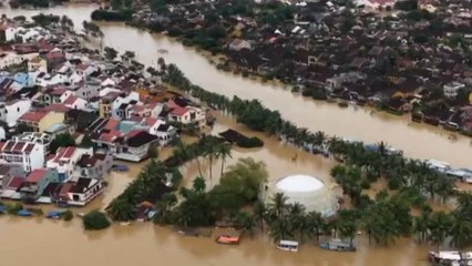Jamaica: Gobierno evalúa daños y afectaciones en el sector agrícola tras huracán Melissa