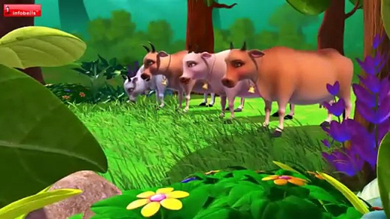Cow