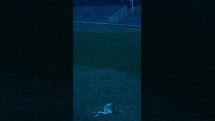 Celebrating 25 years, Sofia Coppola's feature debut THE VIRGIN SUICIDES. #kirstendunst #air