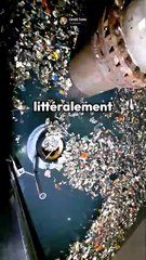 Mais pourquoi on laisse le PLASTIQUE dans les océans ?