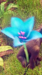 Ο Φίλος μου ο Ταφίτι | movie | 2025 | Official Teaser