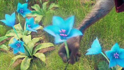 Ο Φίλος μου ο Ταφίτι | movie | 2025 | Official Teaser