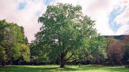 Takumi-kun Series: Drama (2025) Episode 6 | Japanese subbed EN