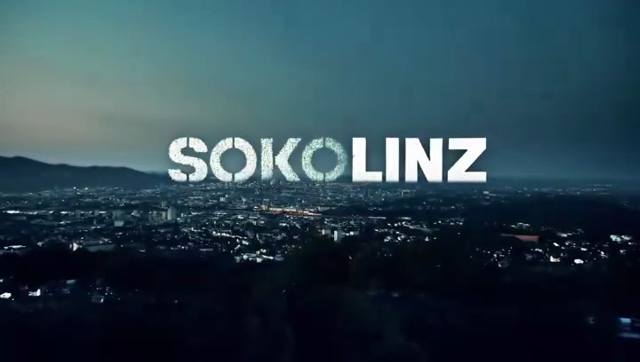 SOKO Linz -26- Systemcrash