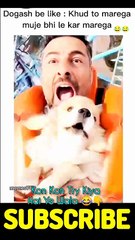 Man and Dog Funny Moments 😅😅funny videos   hindi comedy   indian funny video   funny news   trending comedy