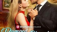 Dumped by a Cheater, Spoiled by a Billionaire #Dramabox