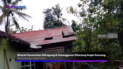 Wilayah Kecamatan Siliragung dan Pesanggaran Diterjang Angin Kencang, Total Ada Sebanyak 26 Unit Rumah Mengalami Kerusakan Ringan Hingga Berat