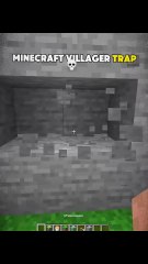Minecraft Villager Trap Moment
