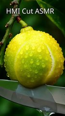 Cutting Lemon Like Glass 🍋 | Super Satisfying ASMR