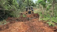From Messy to Perfect, D6R XL Bulldozer on the Plantation Road