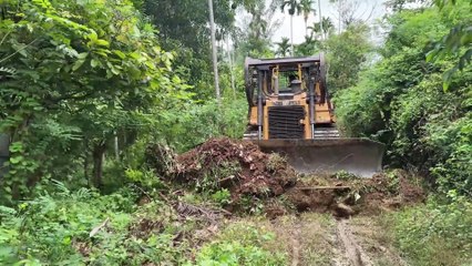 Bulldozer D6R XL Service Procedure for Efficient Plantation Roads