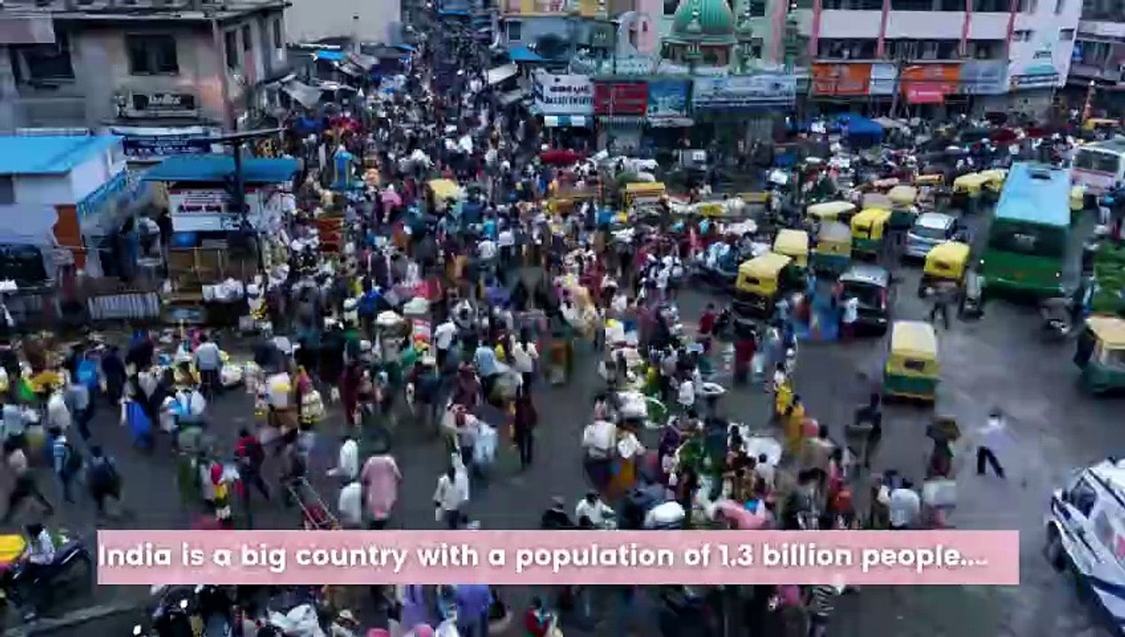 India Wildlife Travel  Best India Wildlife Tours – Bespoke India Holidays