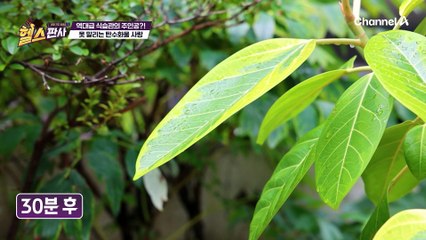 "소화제야~" 물 대신 제로 음료를 권한다?! 제로 음료 이대로 괜찮을까?