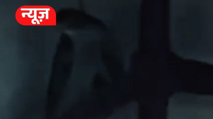 मंदिर में दिखा सांप, लोगों ने शुरू कर दी पूजा