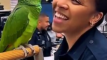 Parrot_Becomes_a_Police_Officer_😂🦜👮‍♀️_#youtubeshorts(360p)