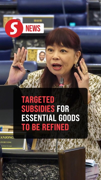 Govt to refine targeted subsidies for essential goods, says Deputy Finance Minister