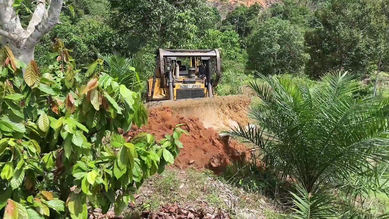 Awesome! Bulldozer D6R XL Plantation Road Working on Mountain Slope