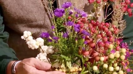 S7 E28 – Love Your Weekend with Alan Titchmarsh