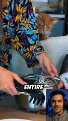 She Served Chargers for Dinner… And Her Family Fin