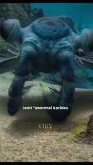 Anomalocaris  Kambriyen döneminde (yaklaşık 508 milyon yıl önce) yaşamış olan eski bir deniz hayvanıdır.