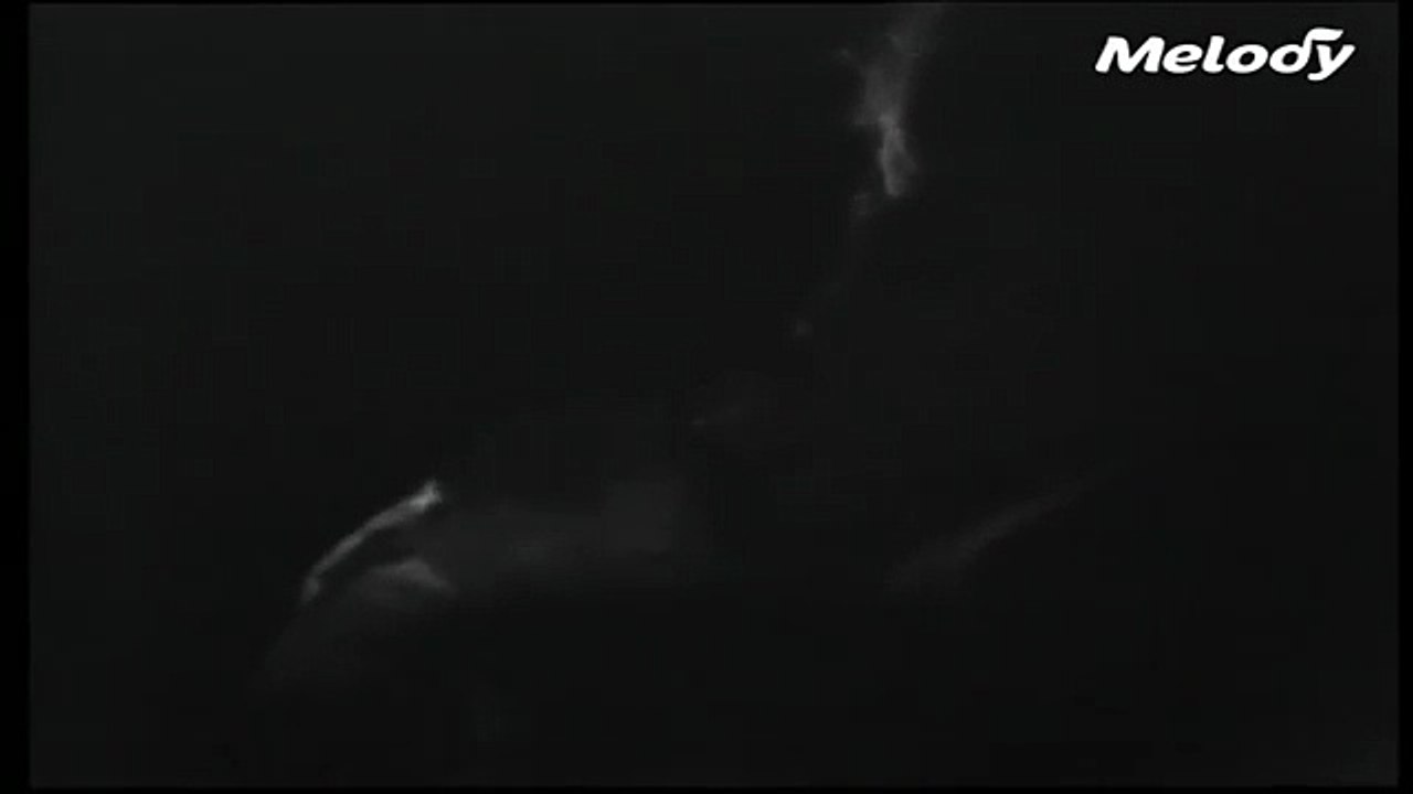 Johnny Hallyday – Cavalcade à Saint-Raphaël (7 septembre 1968)