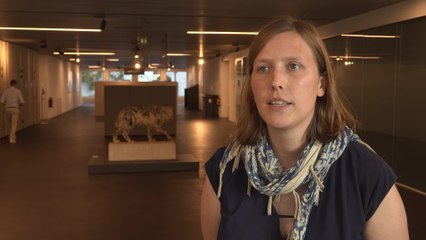 Climat : "La trajectoire actuelle de la Belgique ne permet pas d'atteindre la neutralité climatique d'ici 2050"