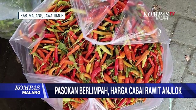 Pasokan Melimpah, Harga Cabai Rawit Anjlok
