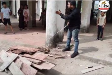 7 फीट लंबा अजगर