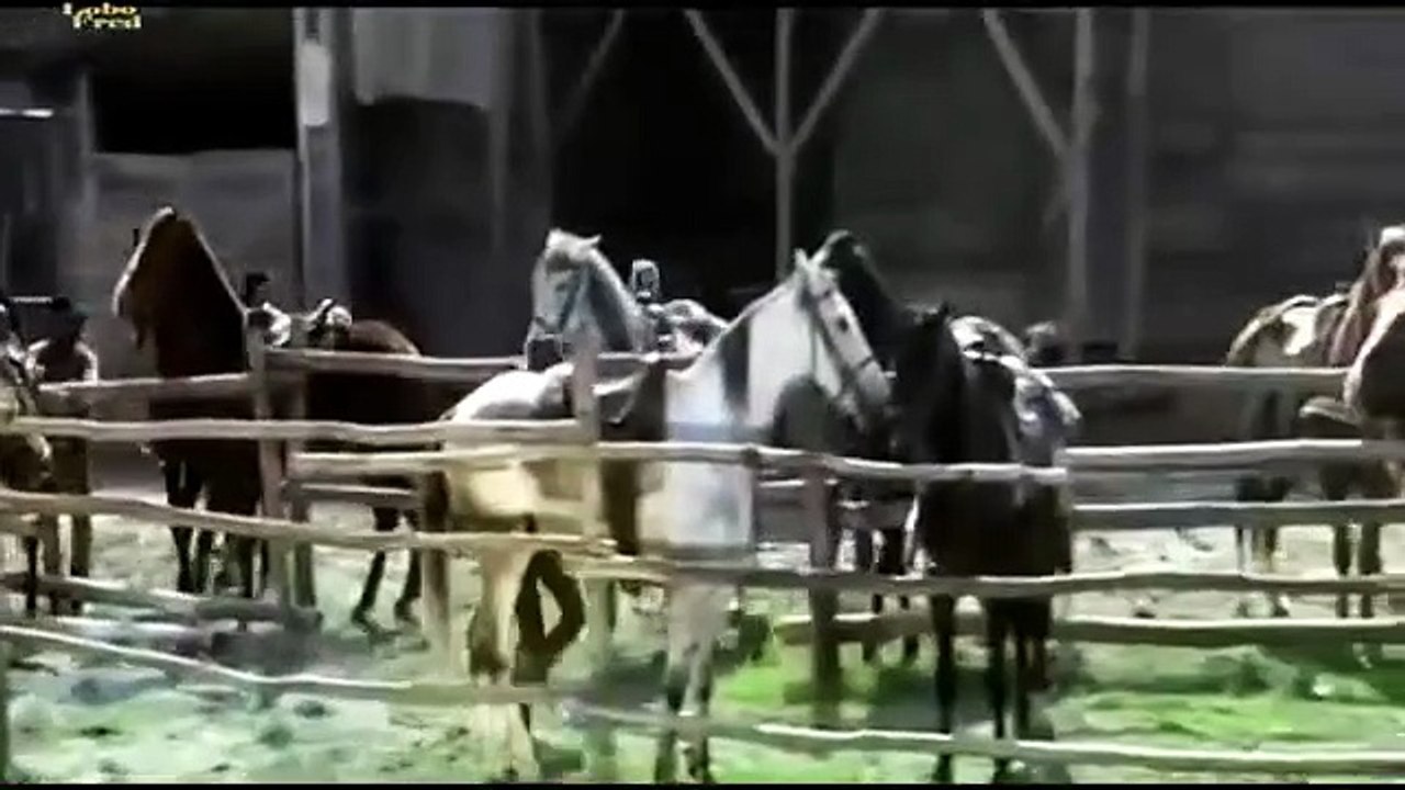 Mi nombre es Django (1971)/ Película del Oeste Completa en Español